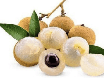 Kelengkeng - Dimocarpus longan