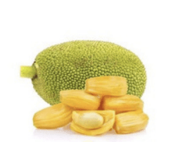 Nangka - Artocarpus heterophyllus