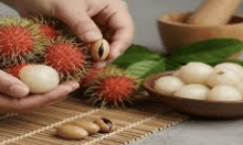 Rambutan - Nephelium lappaceum