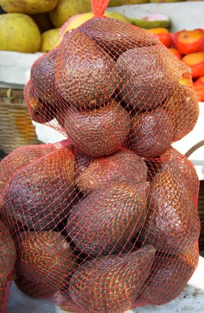 Salak - Salacca zalacca